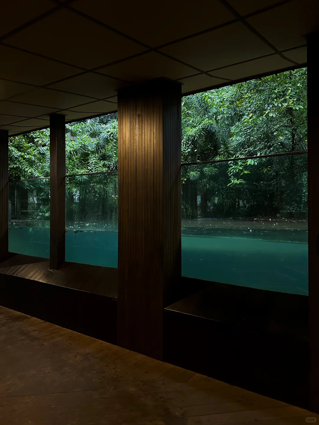 新加坡值得去的5个地方（小众版）