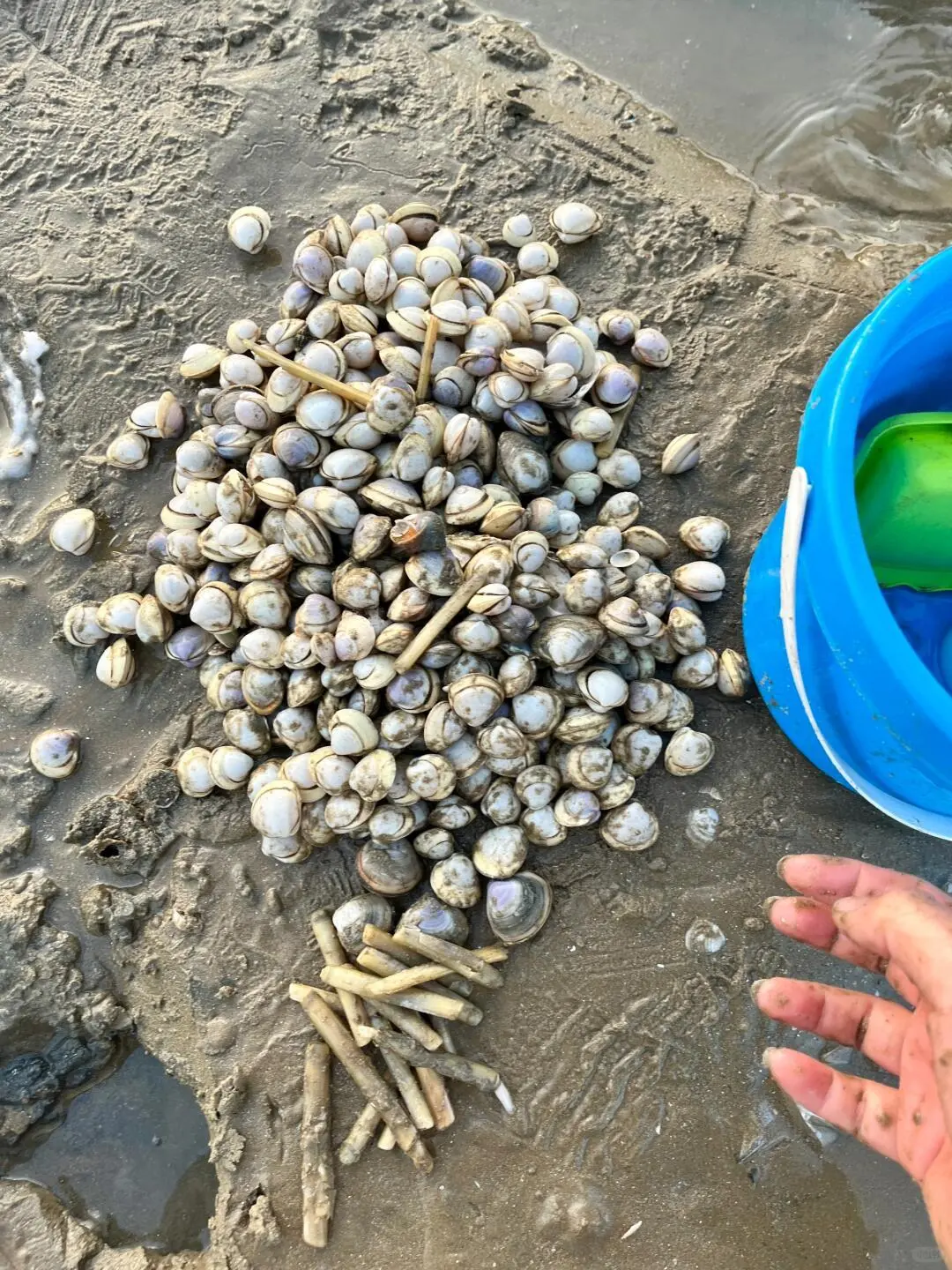 人生建议：带孩子去大连，一定要8-9月份去