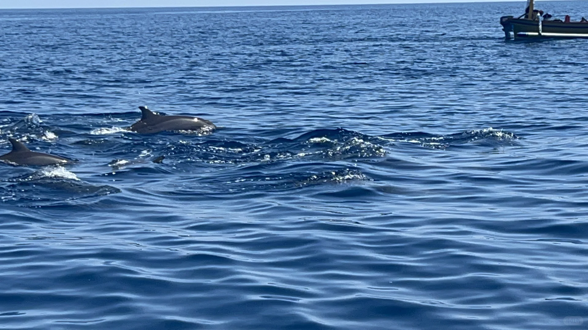 印尼双火山+瀑布+追🐬+巴厘岛6天5晚人均2K