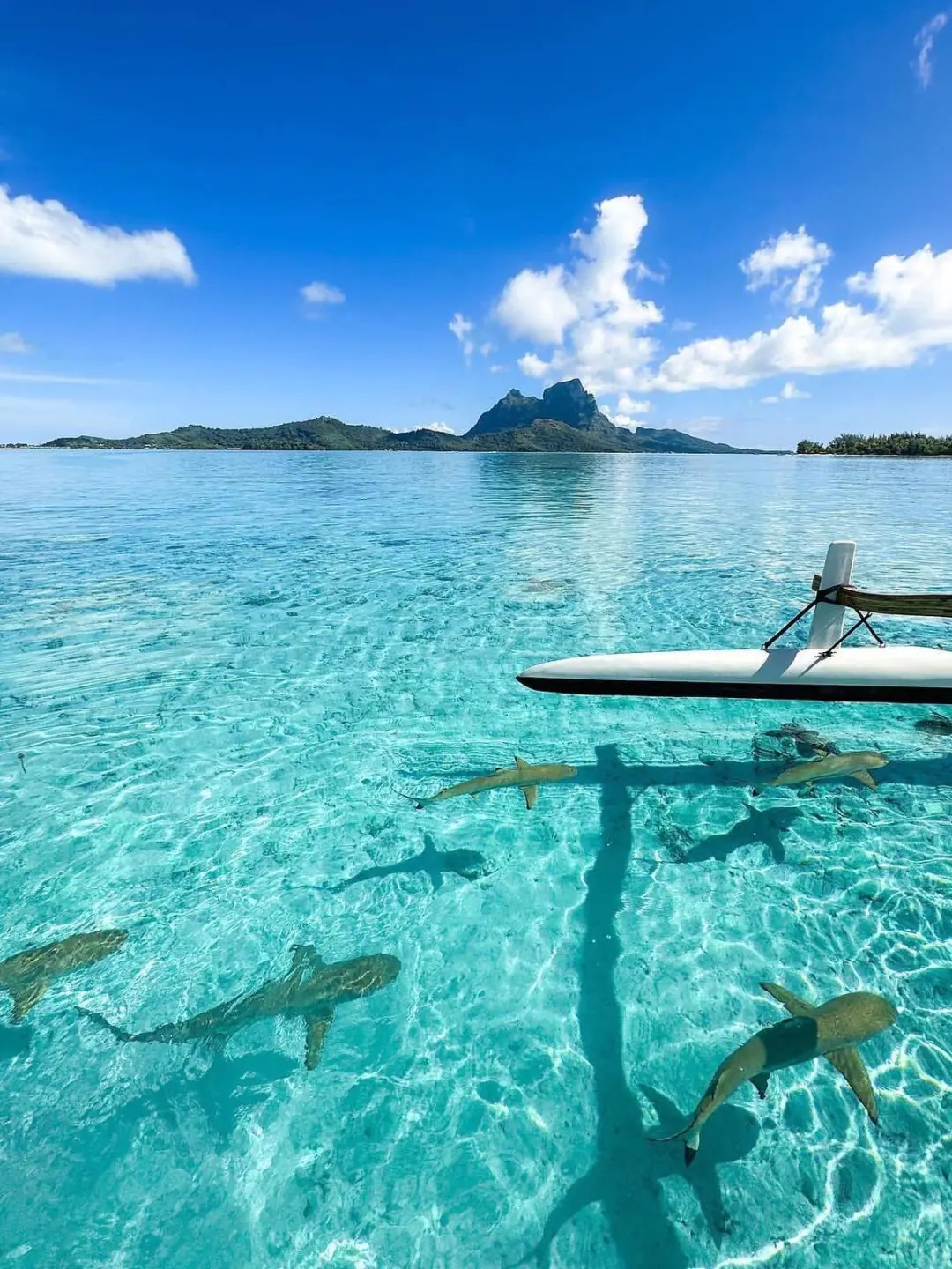 海岛界爱马仕，世界上最性感的海岛之一