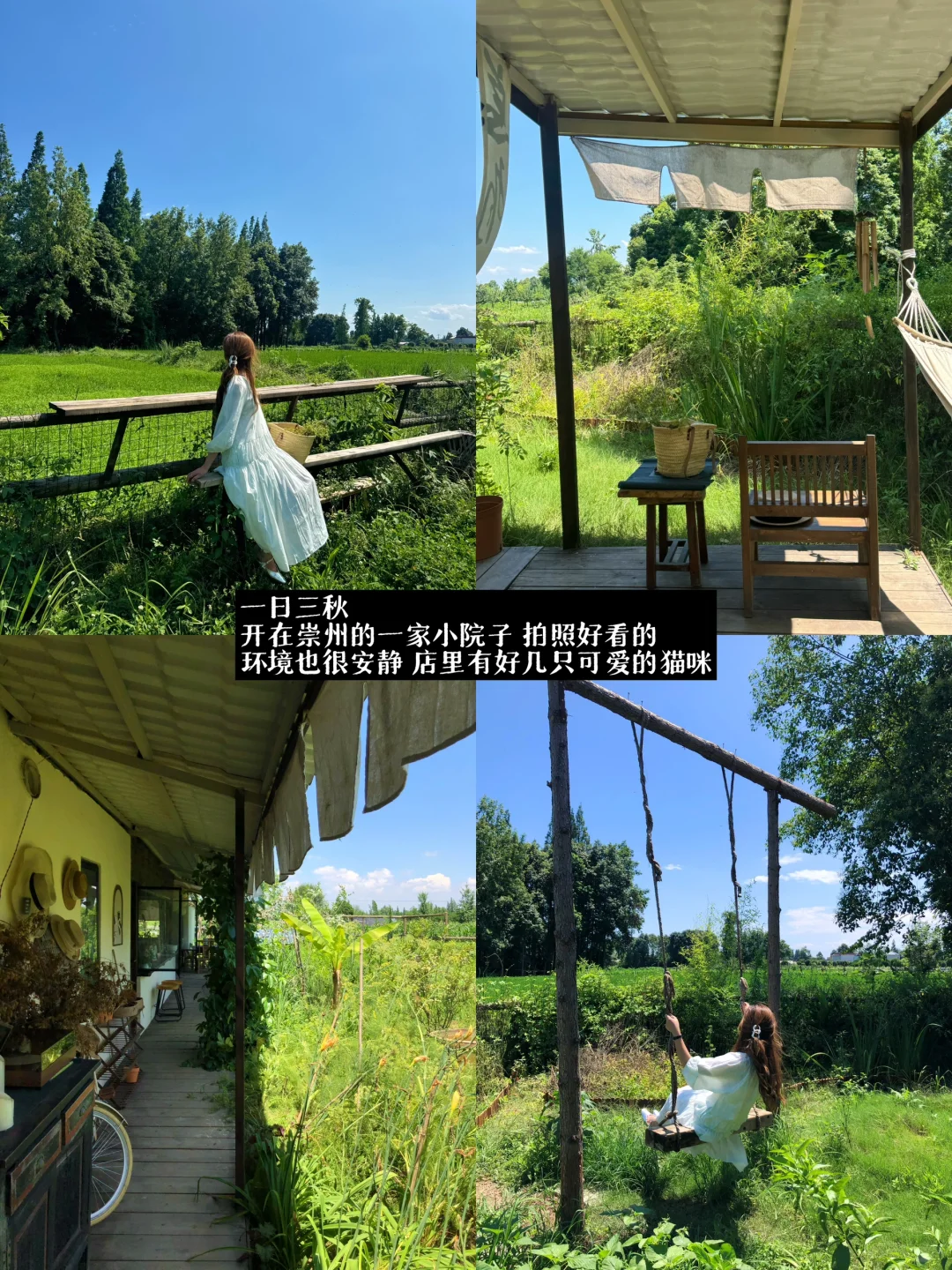 朋友来成都！会带她去无数次的店（逛吃版🤳）