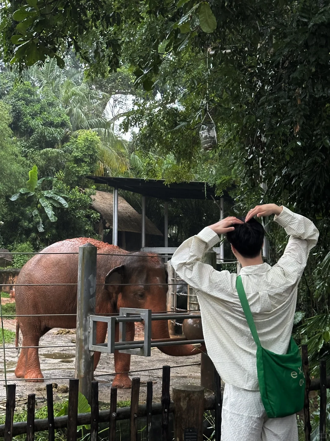 新加坡值得去的5个地方（小众版）