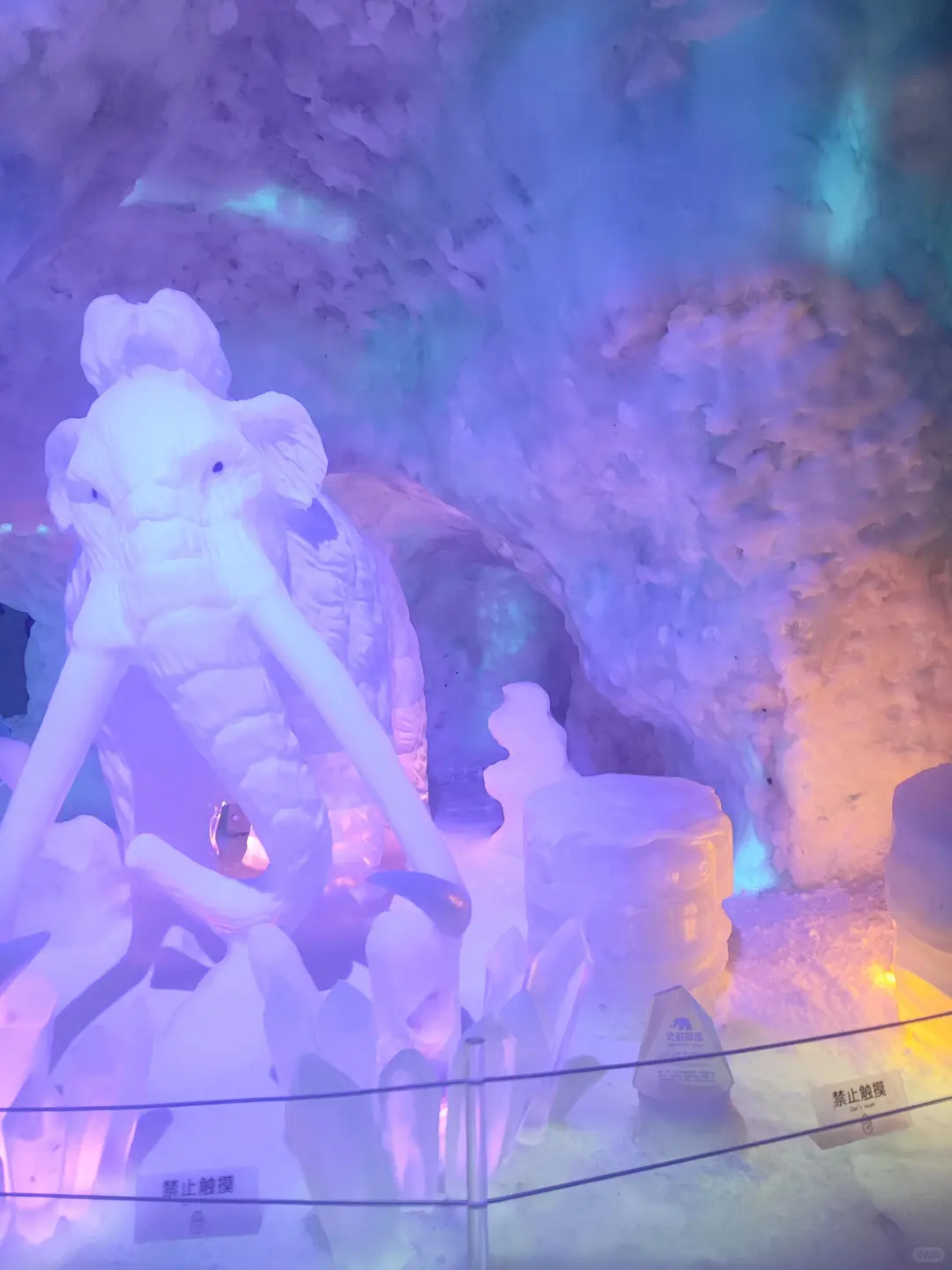 人生建议：带孩子去大连，一定要8-9月份去