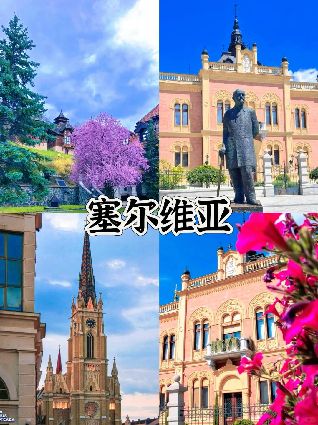 求求别浪费人生🥹一定要去定这12个国家✈️