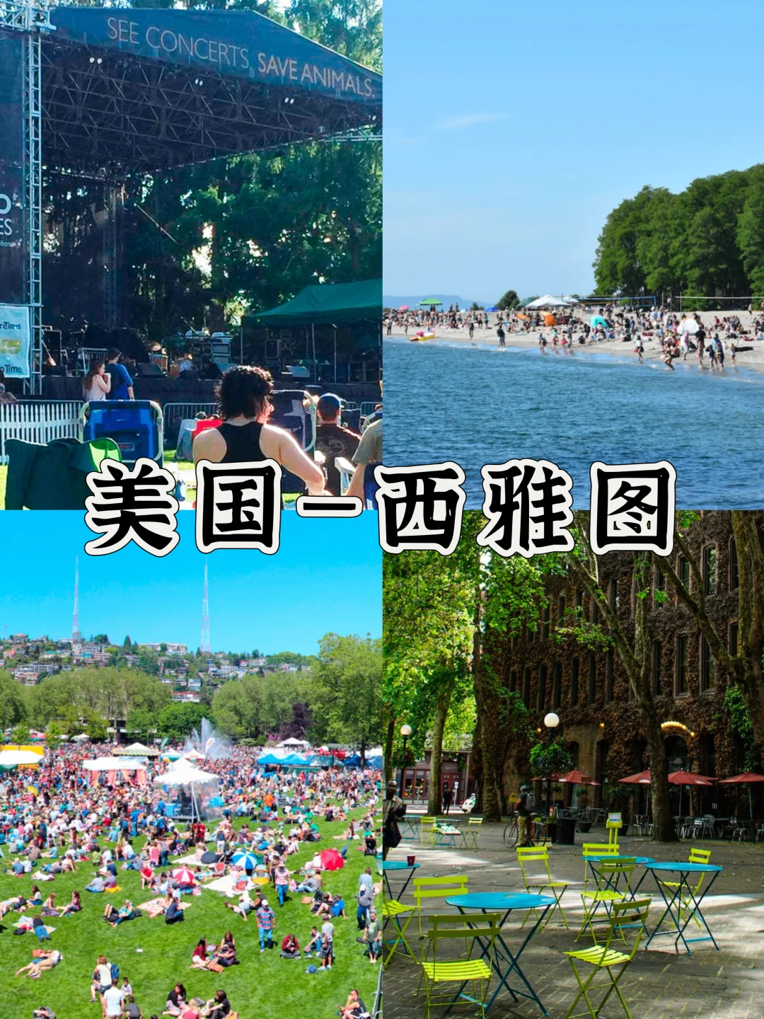 锐评凉快的国外旅游城市