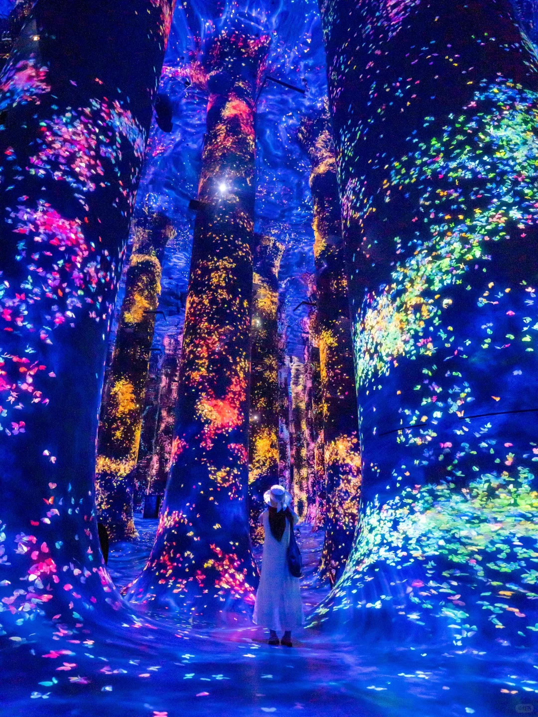 刘亦菲没骗我，这个免签且对华人友好国值得