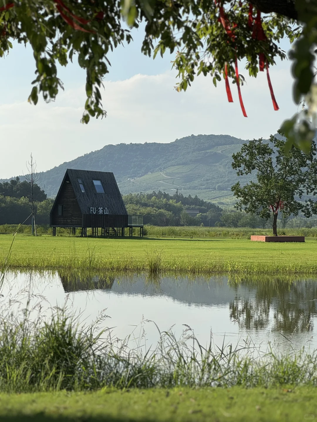 真的不在国外 在溧阳（原图Live）