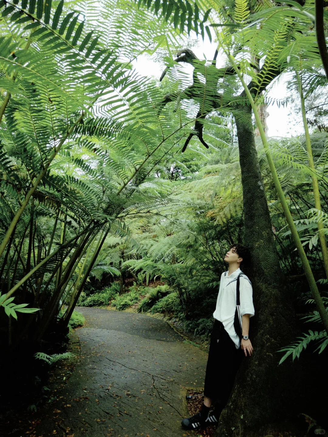 新加坡值得去的5个地方（小众版）