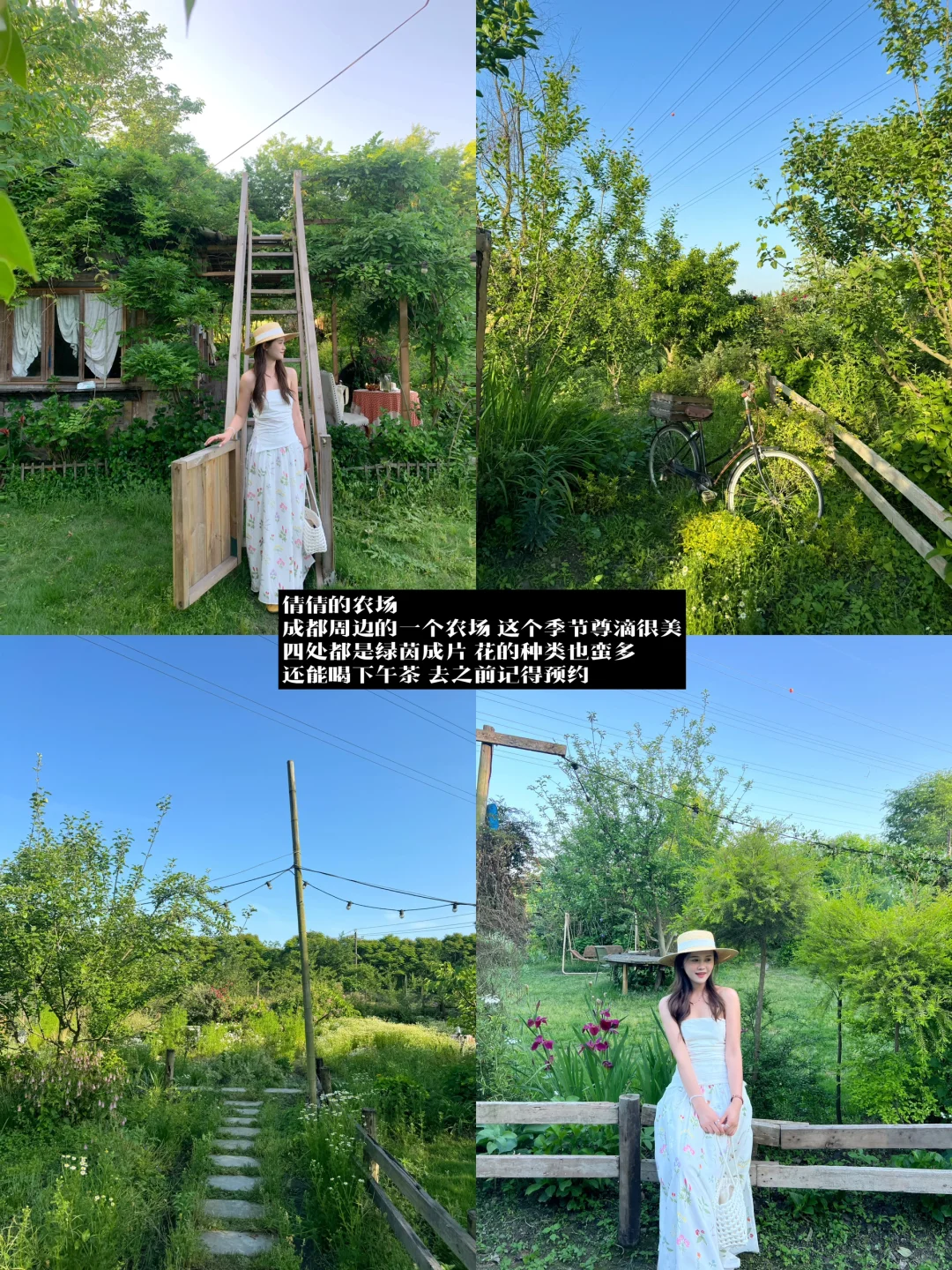 朋友来成都！会带她去无数次的店（逛吃版🤳）