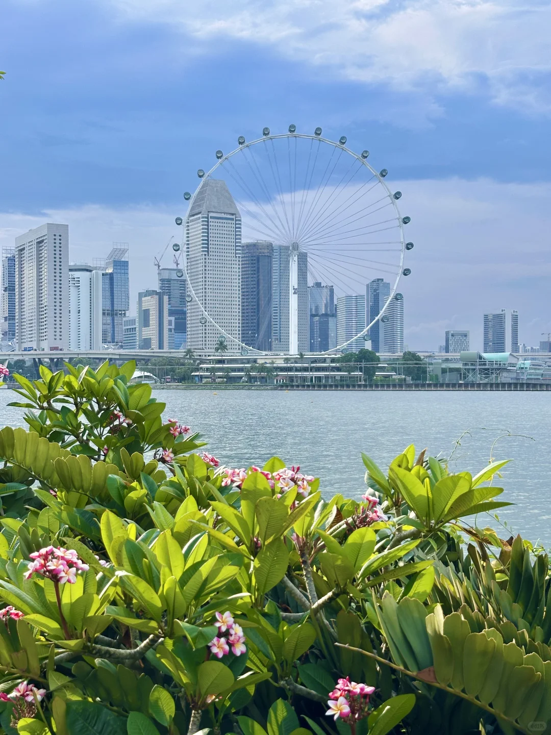 新加坡值得去的5个地方（小众版）