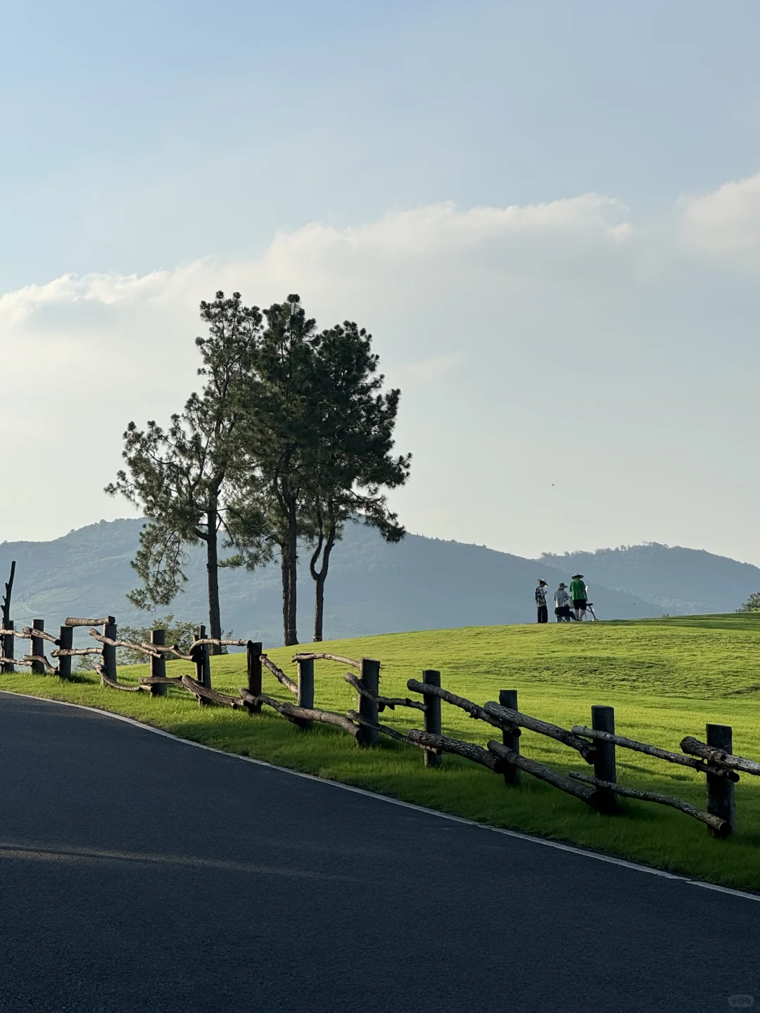 真的不在国外 在溧阳（原图Live）