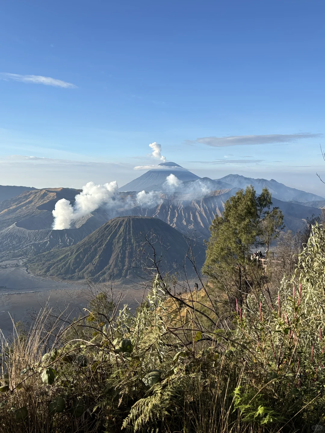 印尼双火山+瀑布+追🐬+巴厘岛6天5晚人均2K