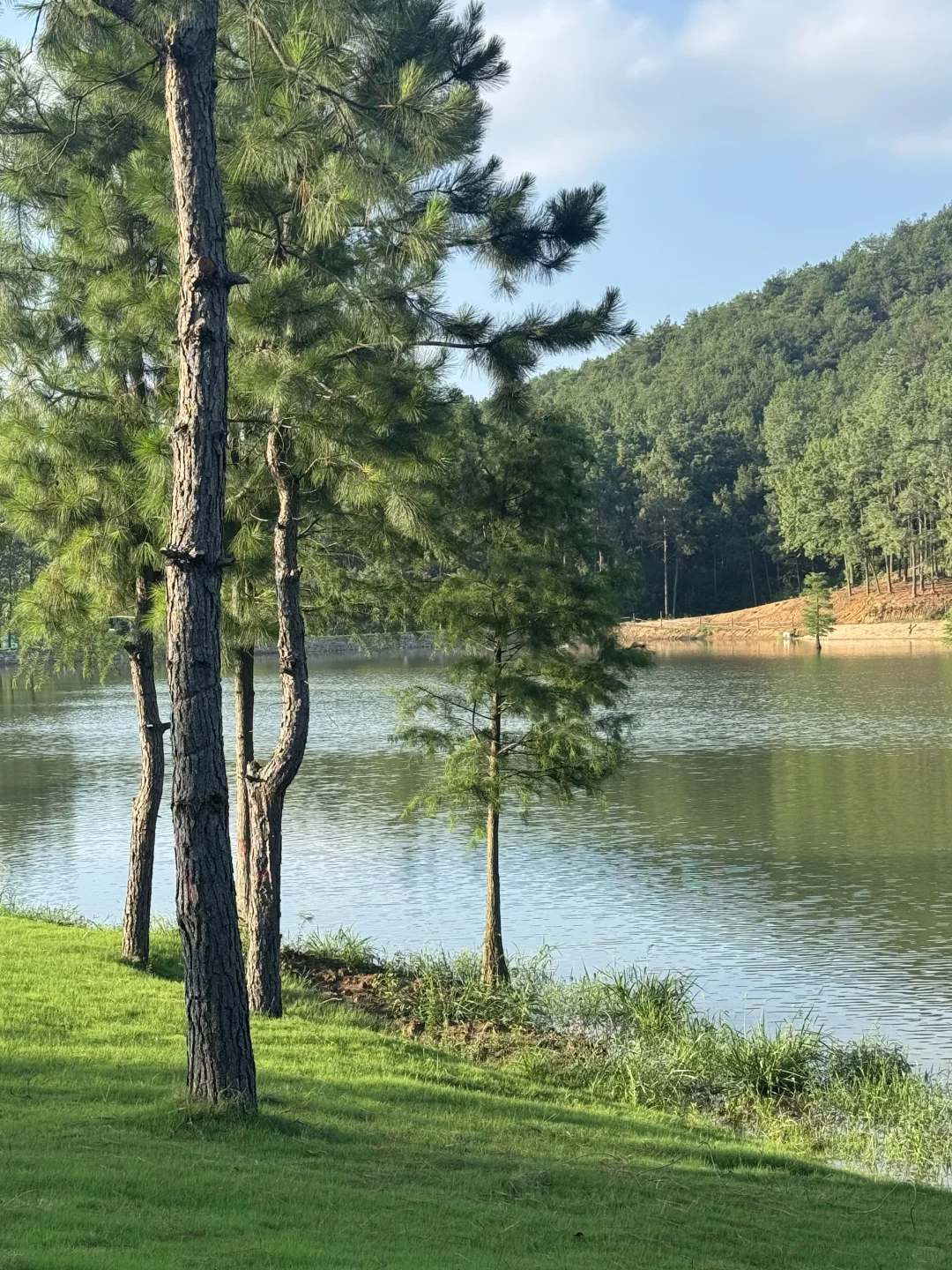 真的不在国外 在溧阳（原图Live）