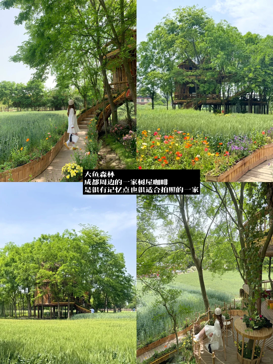 朋友来成都！会带她去无数次的店（逛吃版🤳）