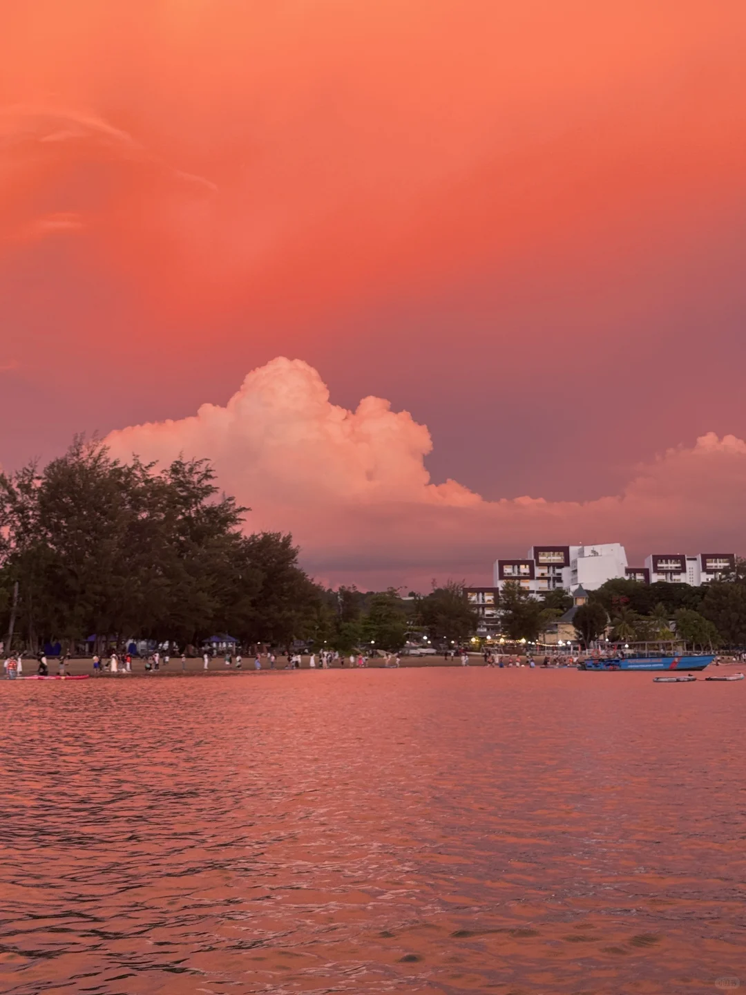 🌅亚庇2天1夜保姆级攻略！人均1000+玩转世界