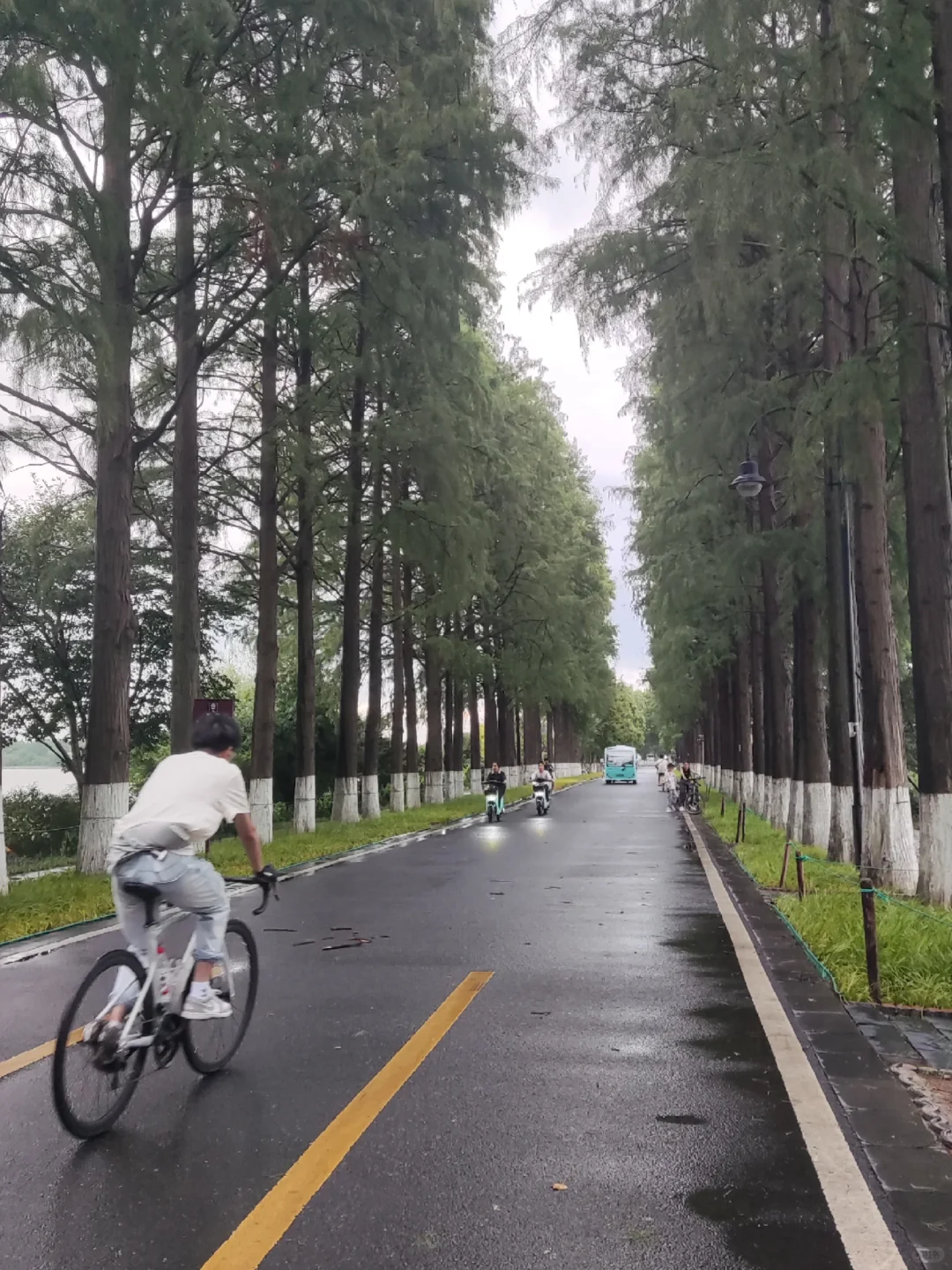 🌟武汉必打卡｜东湖一日游保姆级攻略🌳