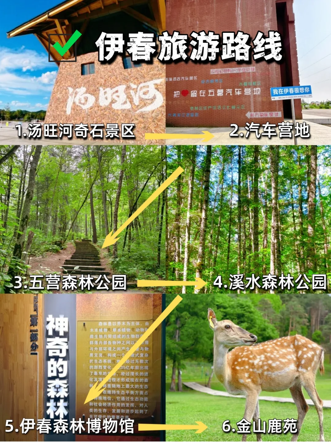 哈尔滨+伊春5天遛娃游，暑假超凉快❗
