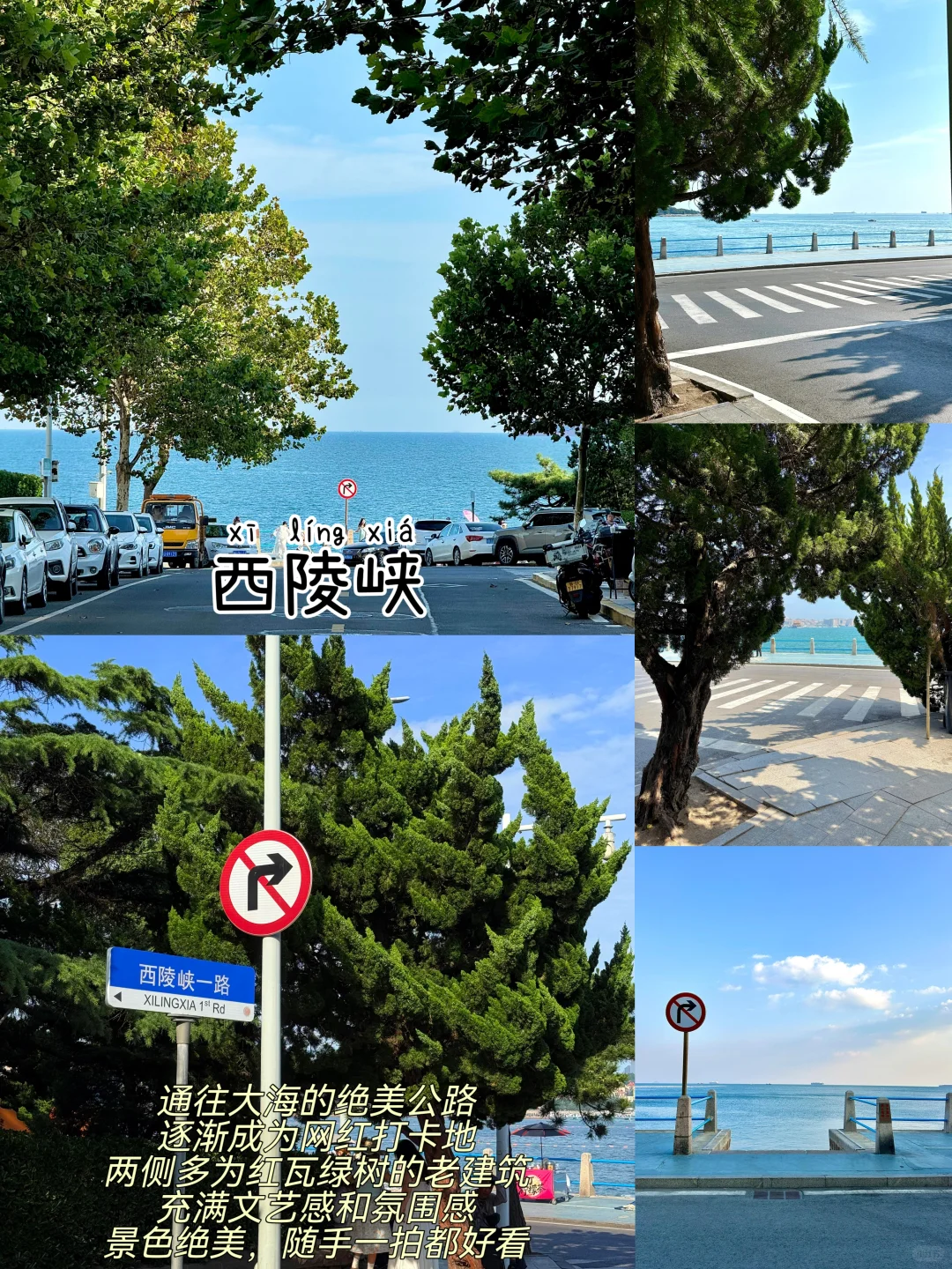 青岛三天两夜｜保姆级逛吃攻略👍附路线图