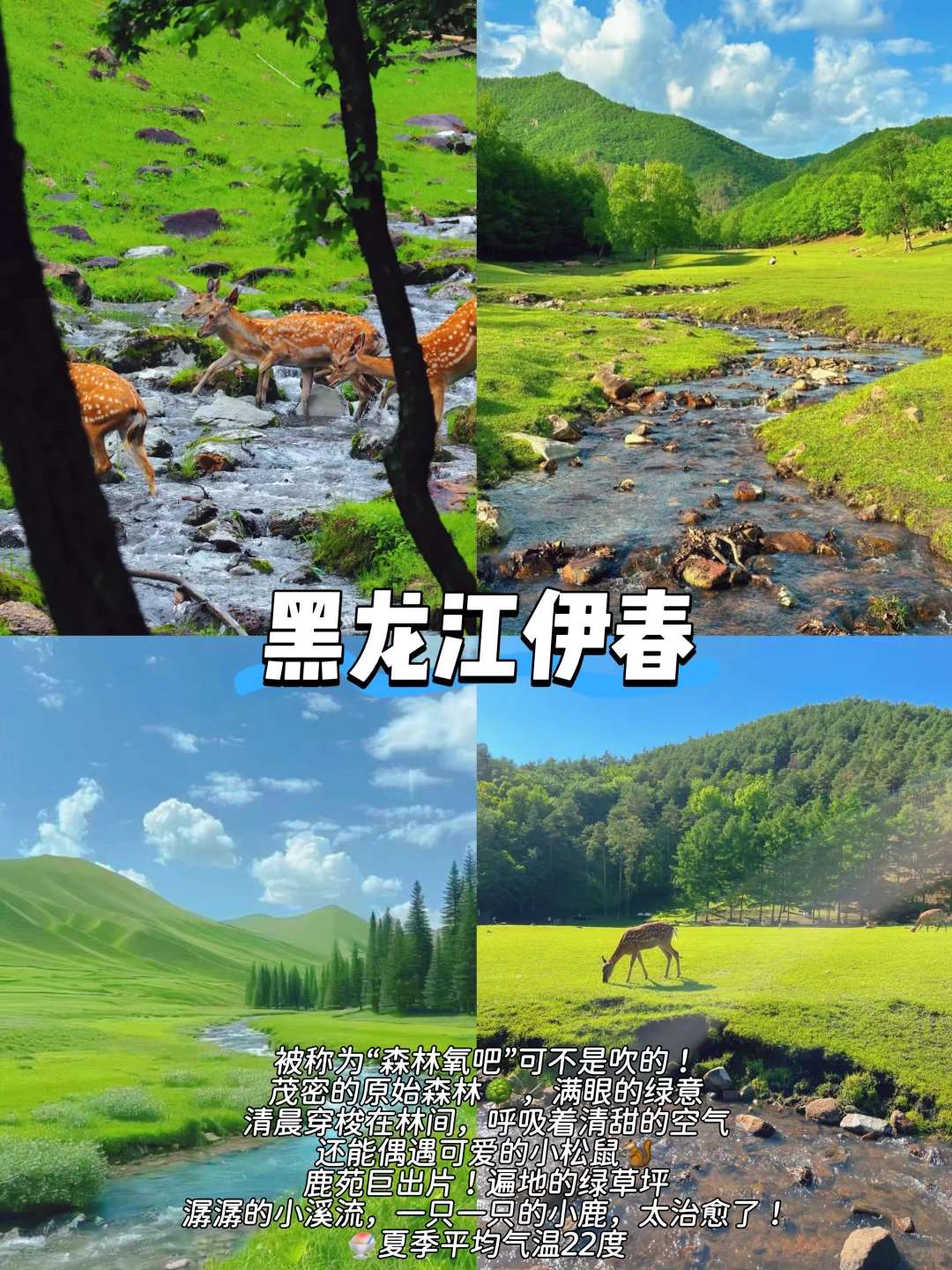 暑假避开人从众‼️必去6个避世凉爽小镇🍃