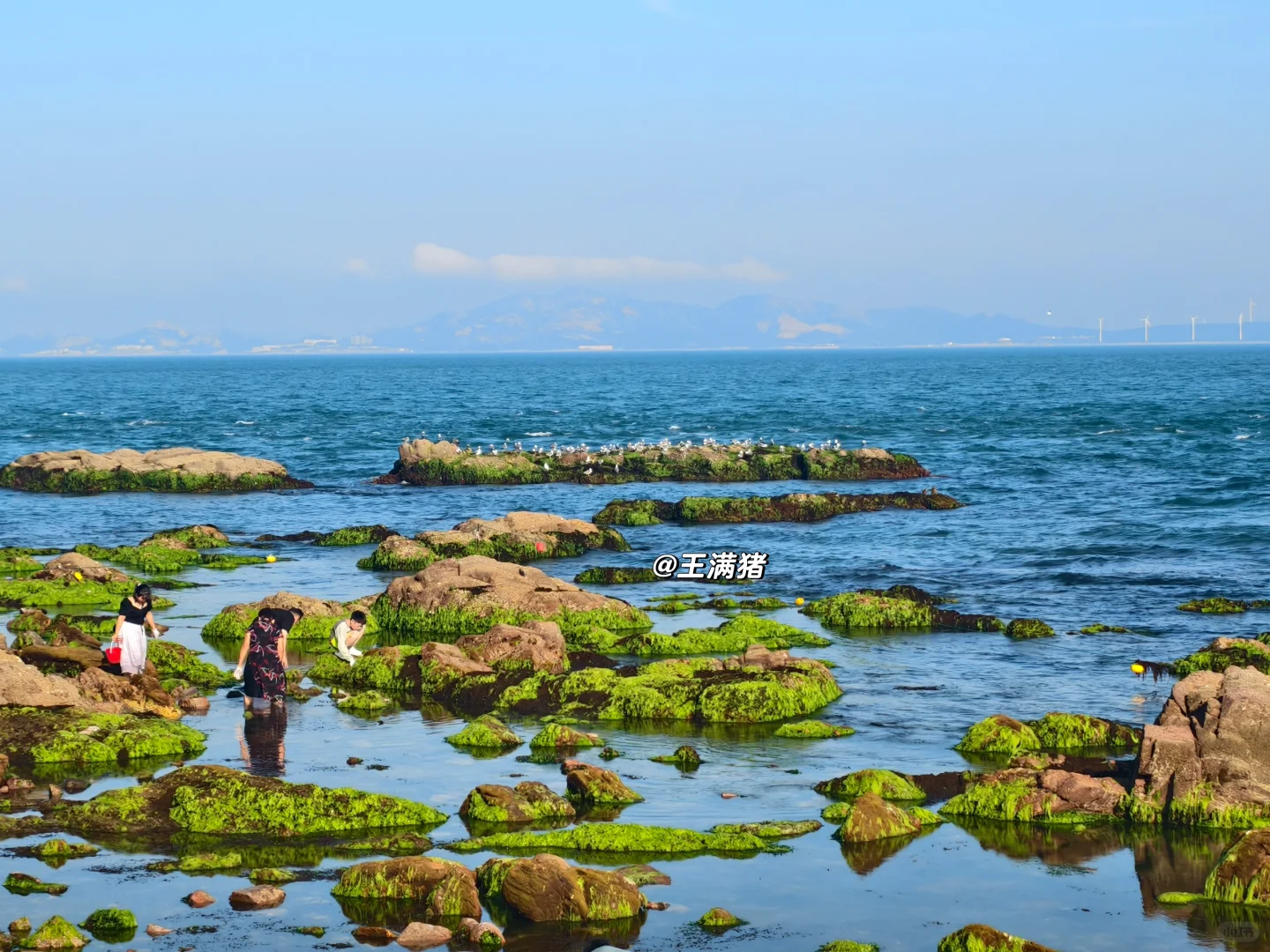 荣成｜一张图讲清楚荣成玩什么！！！