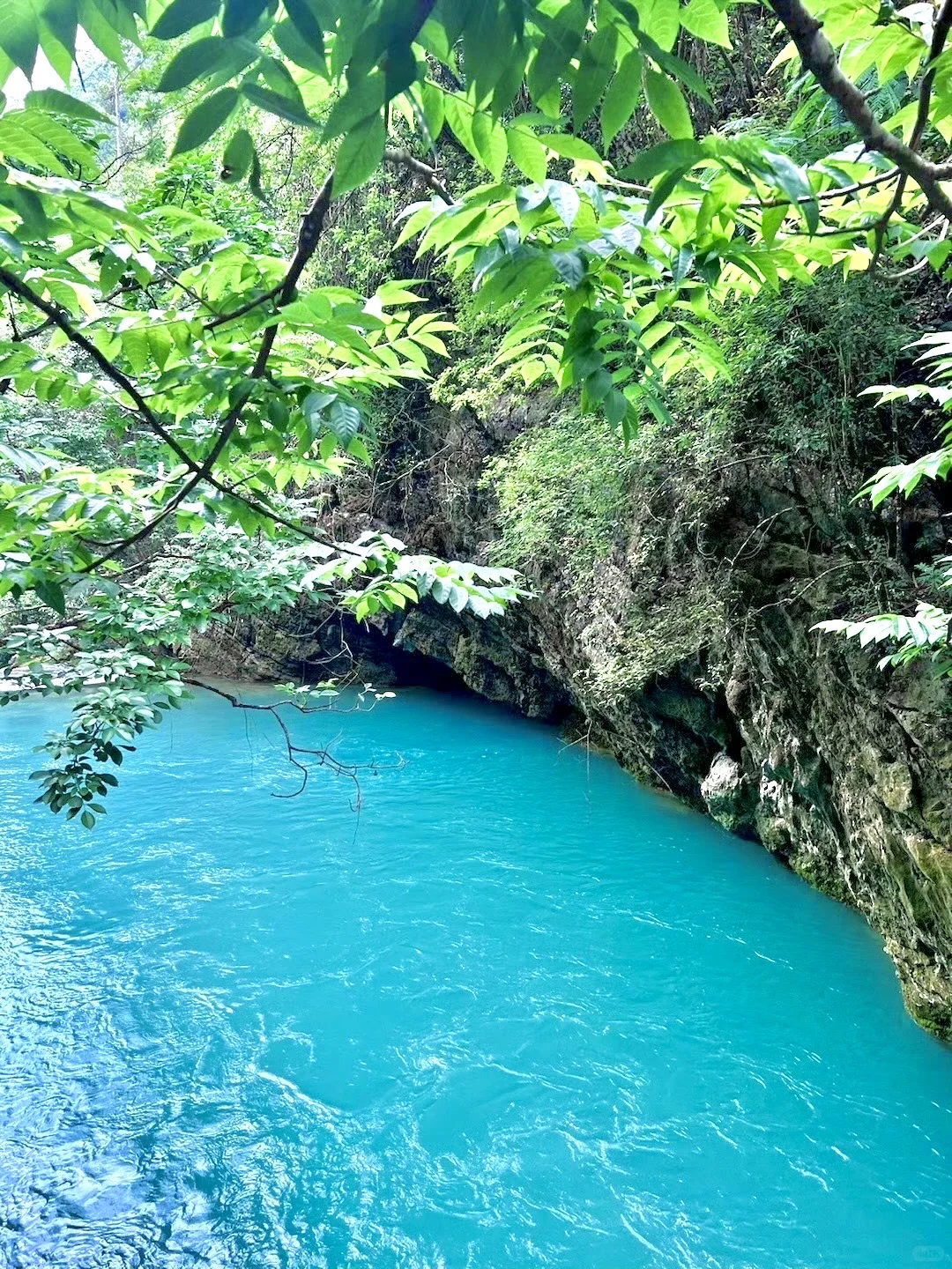 众所周知，小七孔这种景区都是看天吃饭的