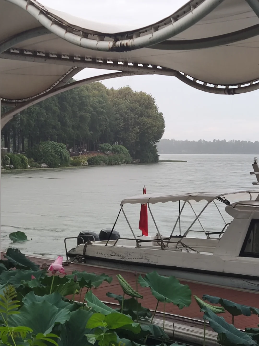 🌟武汉必打卡｜东湖一日游保姆级攻略🌳