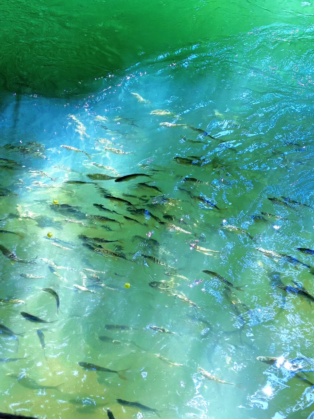 众所周知，小七孔这种景区都是看天吃饭的