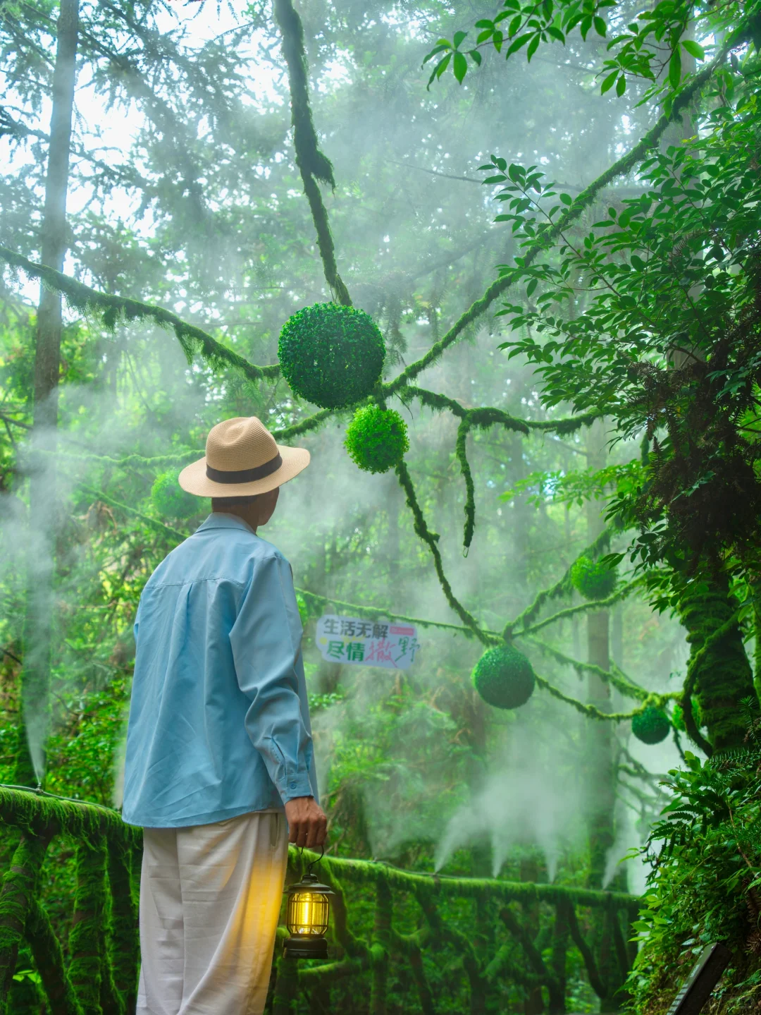 江浙沪必打卡❗️双童山的云端秘境美到心颤💗
