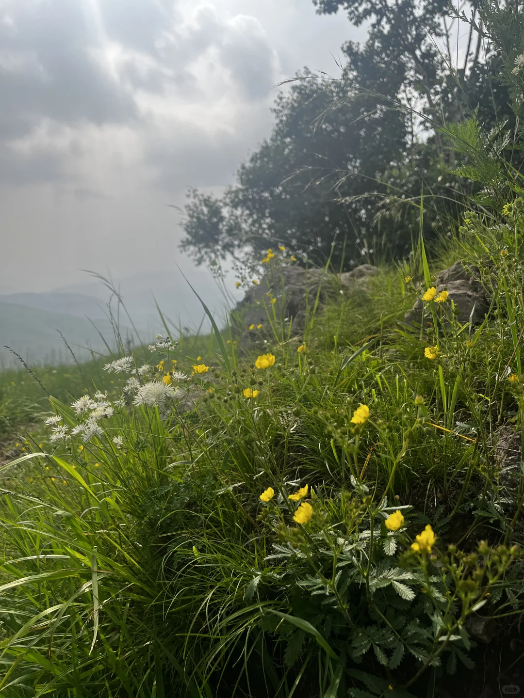 属于河北人自己的小伊犁
