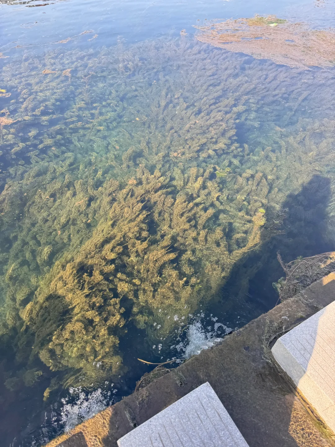 别去九寨沟了！河北也有玻璃海🌊 黑龙洞攻略