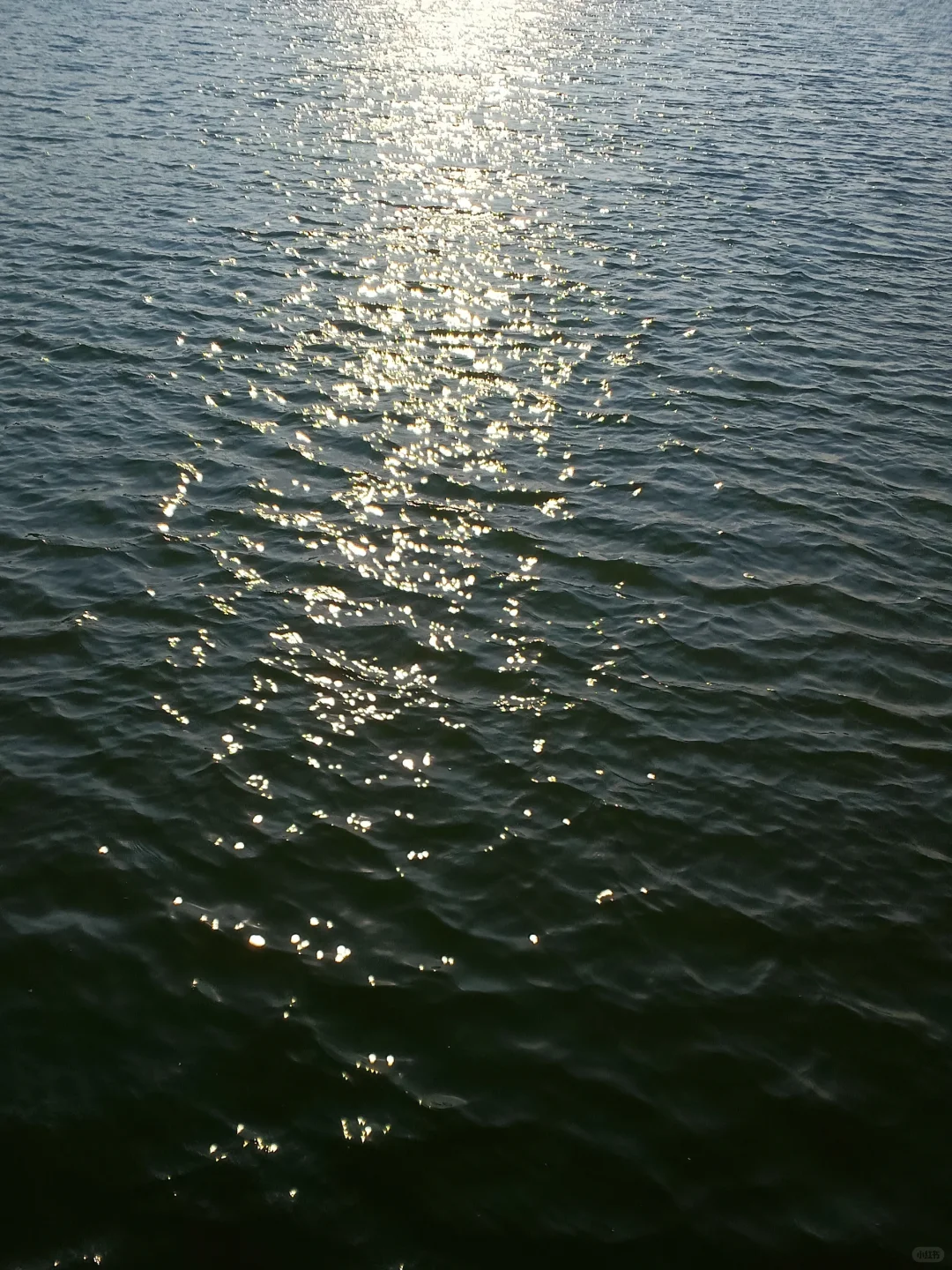 04女大独自旅行之📍邯郸|路线攻略分享~