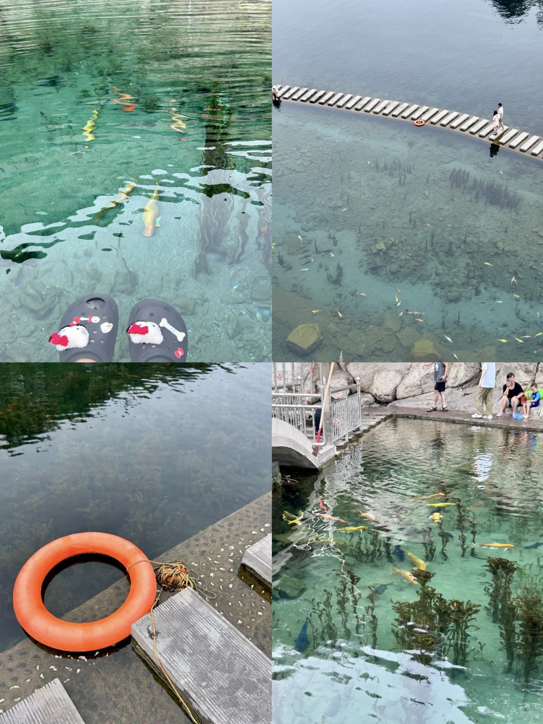 邯郸黑龙洞的水！清到能看见鱼在云里游