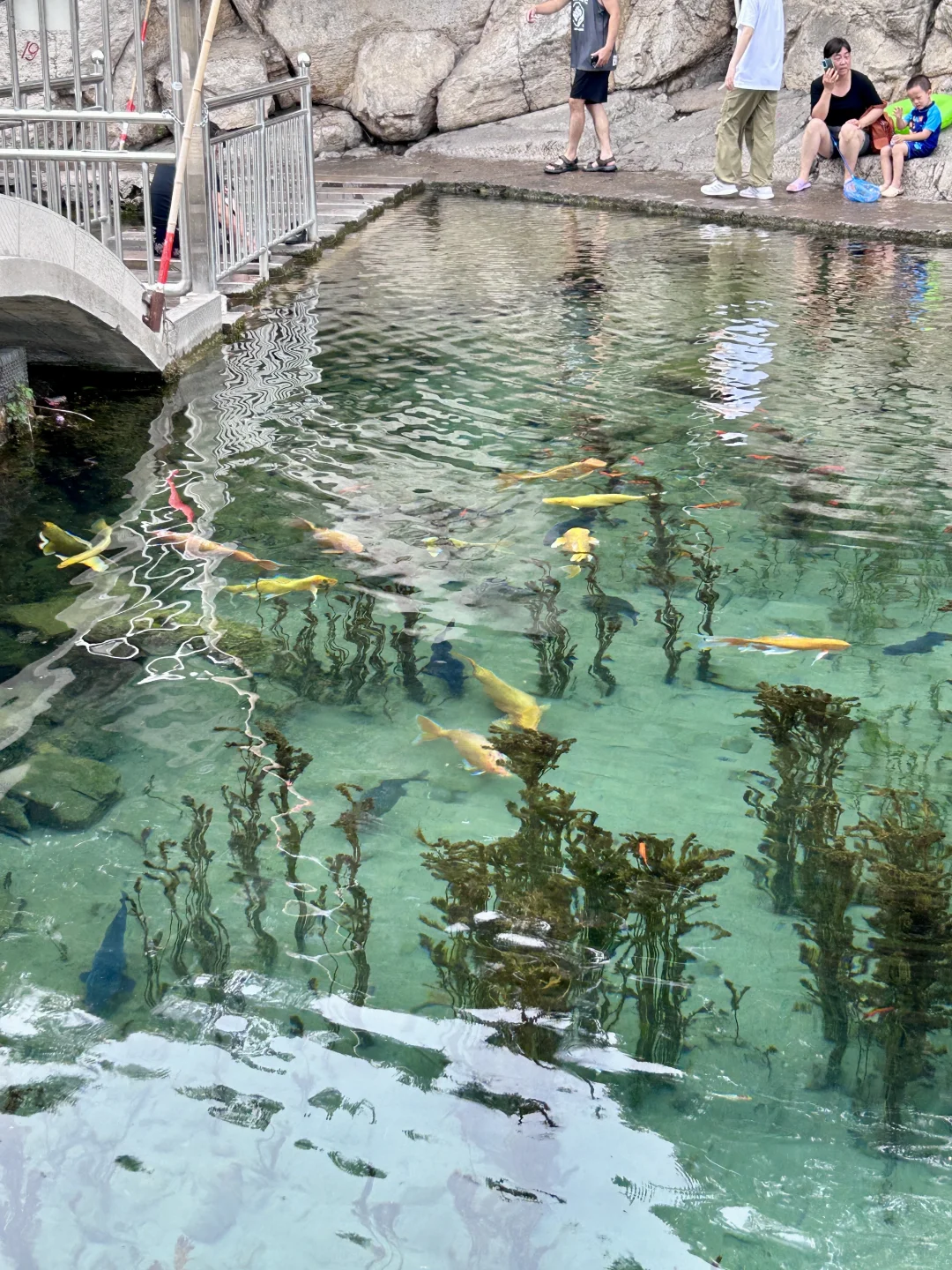 邯郸黑龙洞的水！清到能看见鱼在云里游