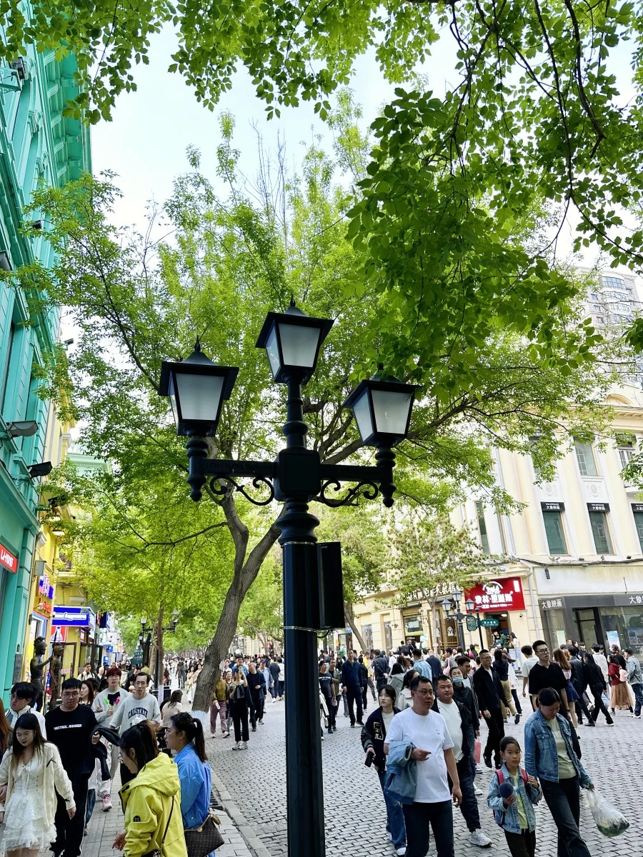 哈尔滨+伊春5天遛娃游，暑假超凉快❗