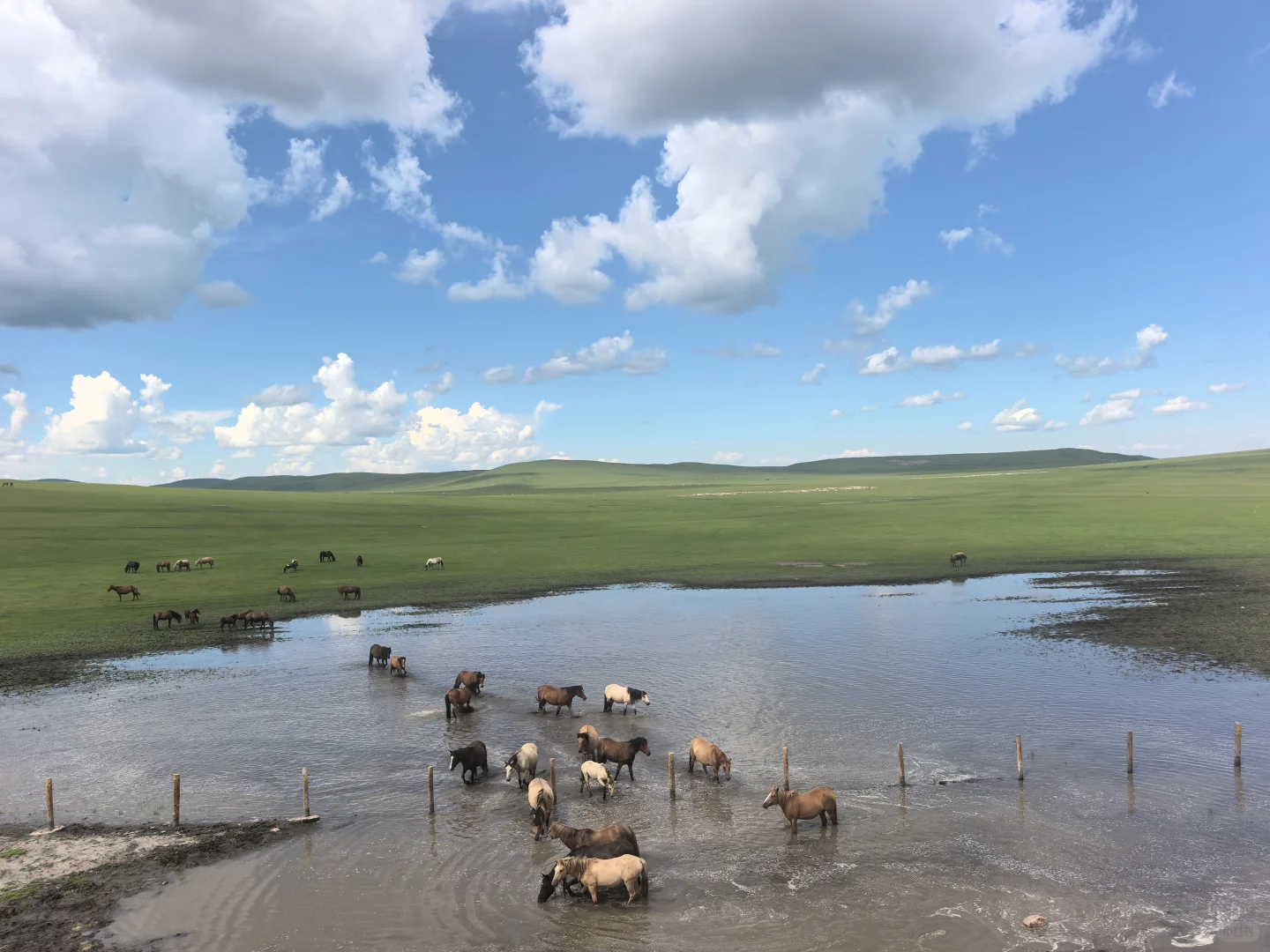 免费玩莫尔格勒河景区 看一篇就可以