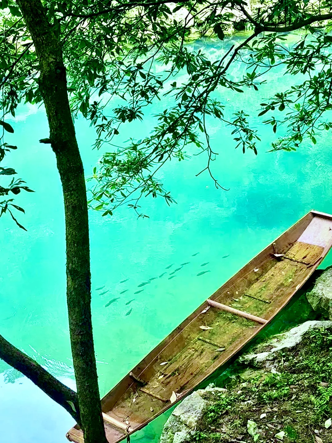 众所周知，小七孔这种景区都是看天吃饭的