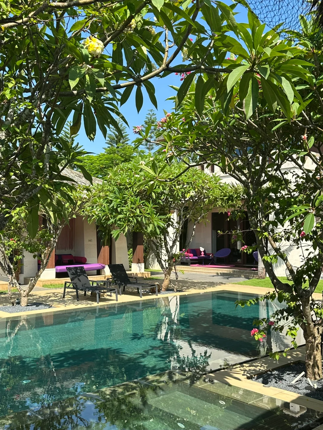 弥补了国内没有白莲花度假村的空白