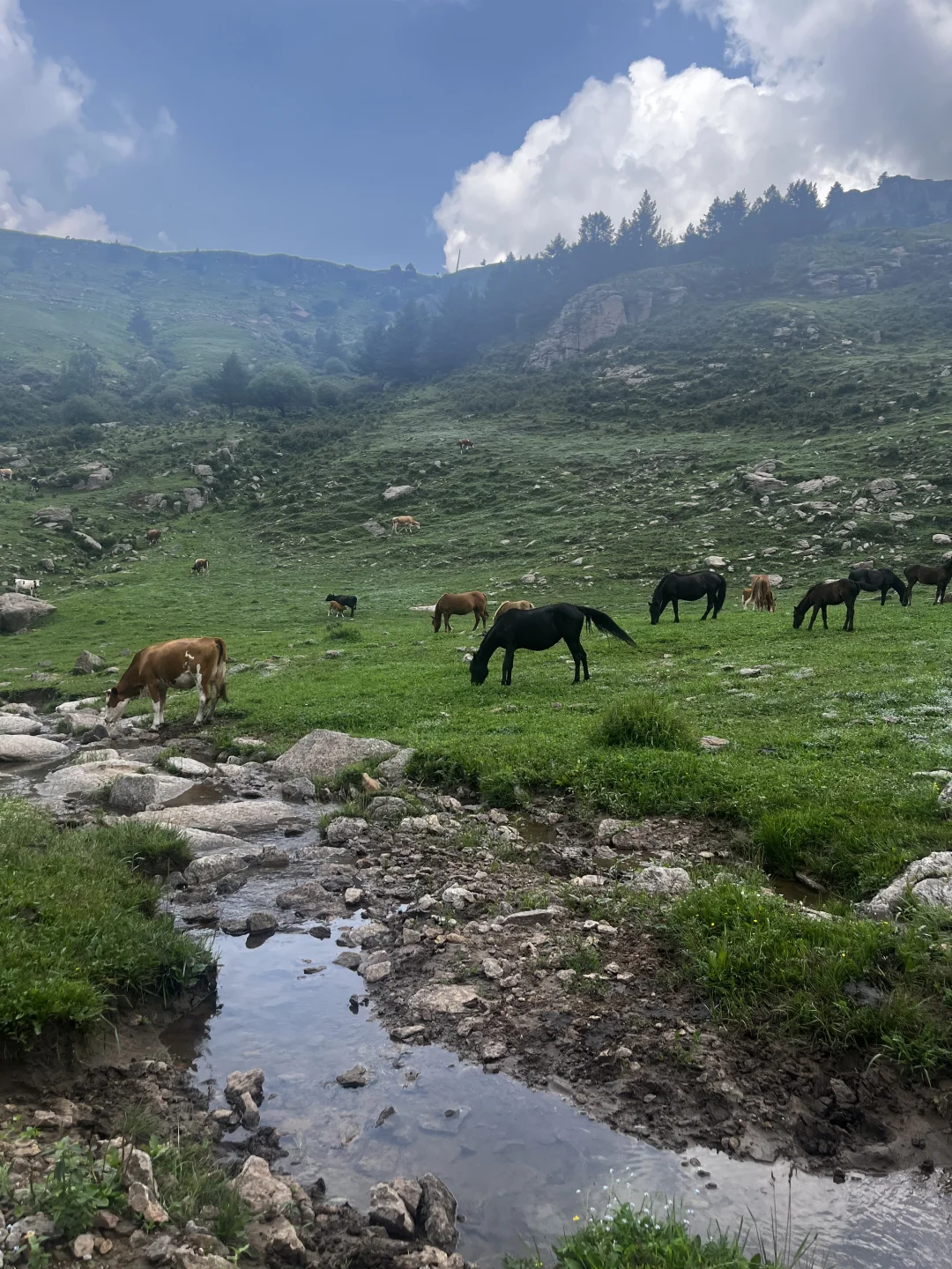 属于河北人自己的小伊犁