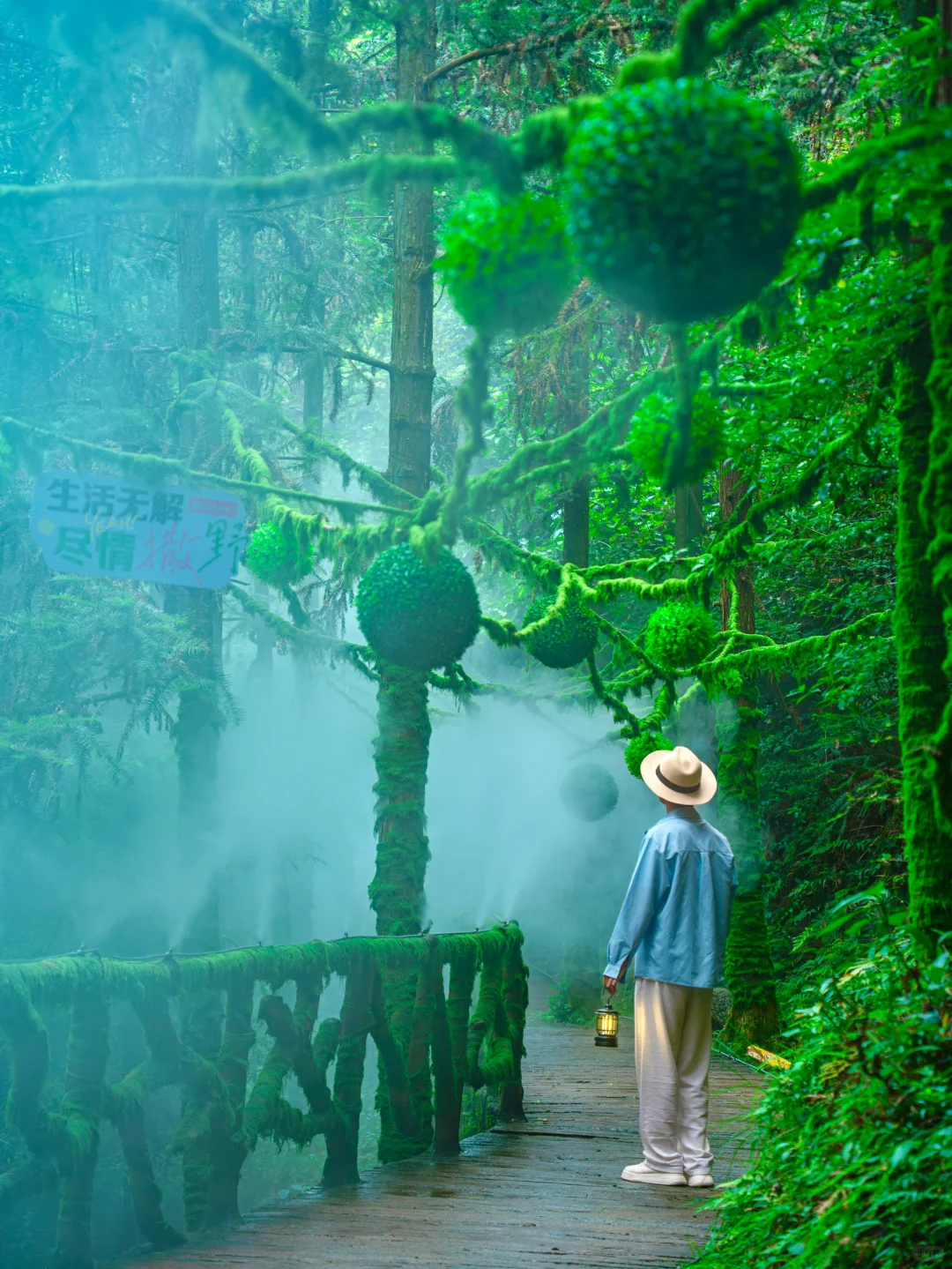 江浙沪必打卡❗️双童山的云端秘境美到心颤💗