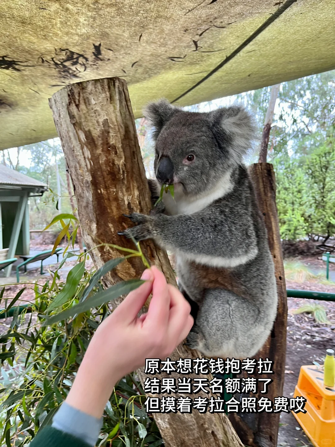 澳大利亚就是看上去很贵实际比较便宜的国家