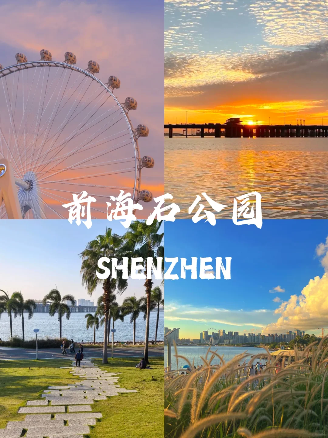 🌆 深圳地铁直达9大景点｜周末说走就走攻略