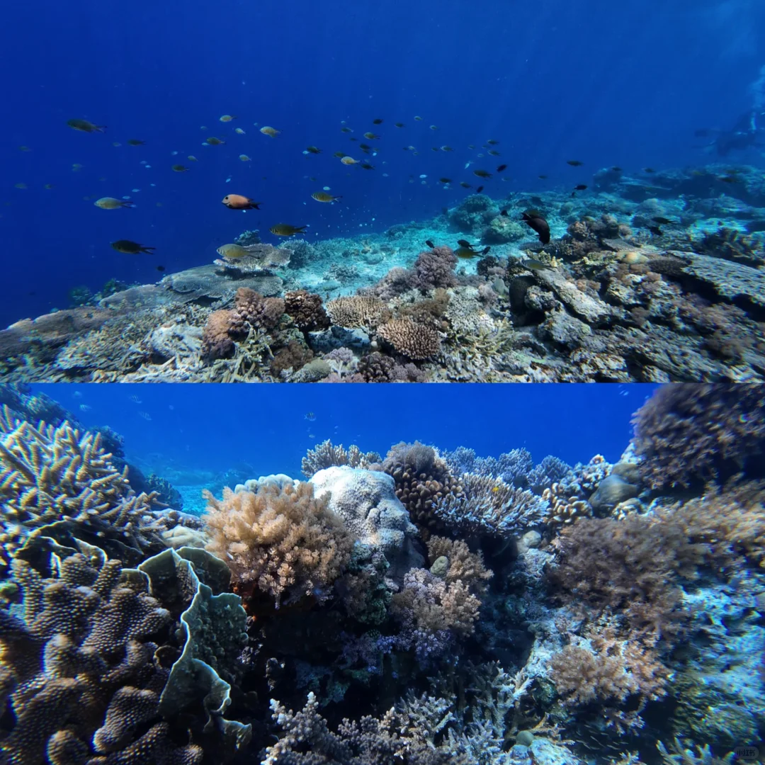 想要快速去趟马来的宝宝们看这篇就够了！