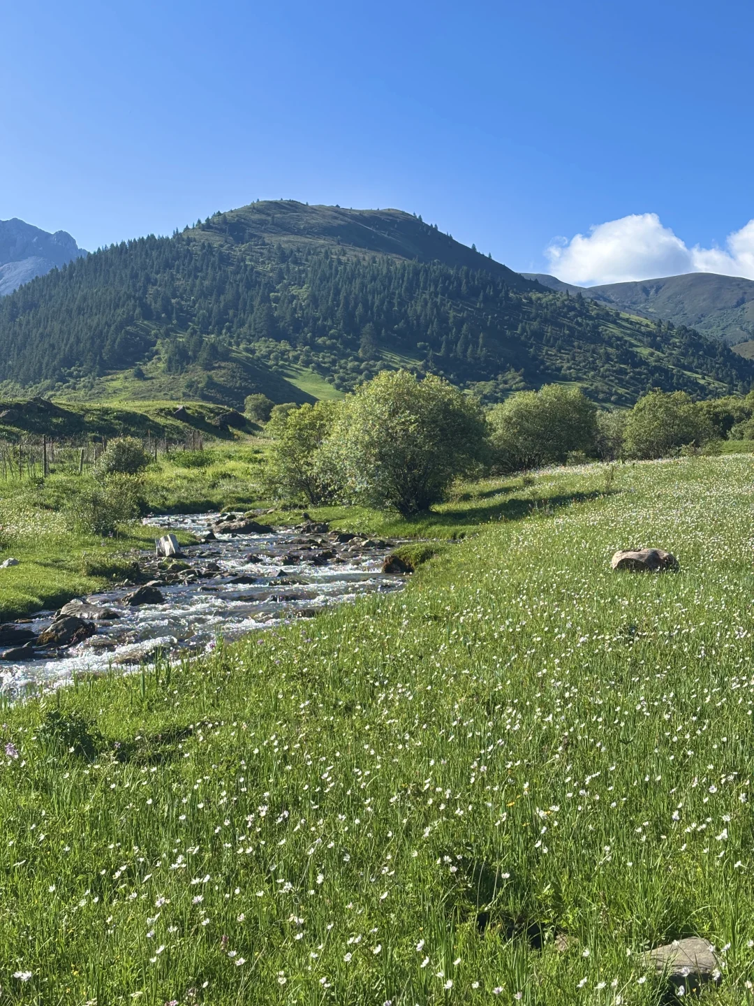 不输瑞士!分享一个8月川西封神地