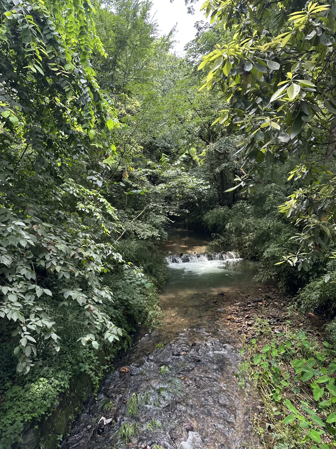 02男大地陪日记｜灵隐寺祈福+乌镇景区逛玩