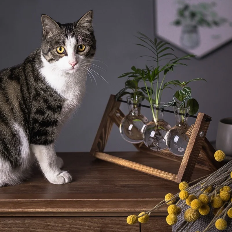 轻奢高档客厅餐桌绿植卧室桌面玄关高端装饰