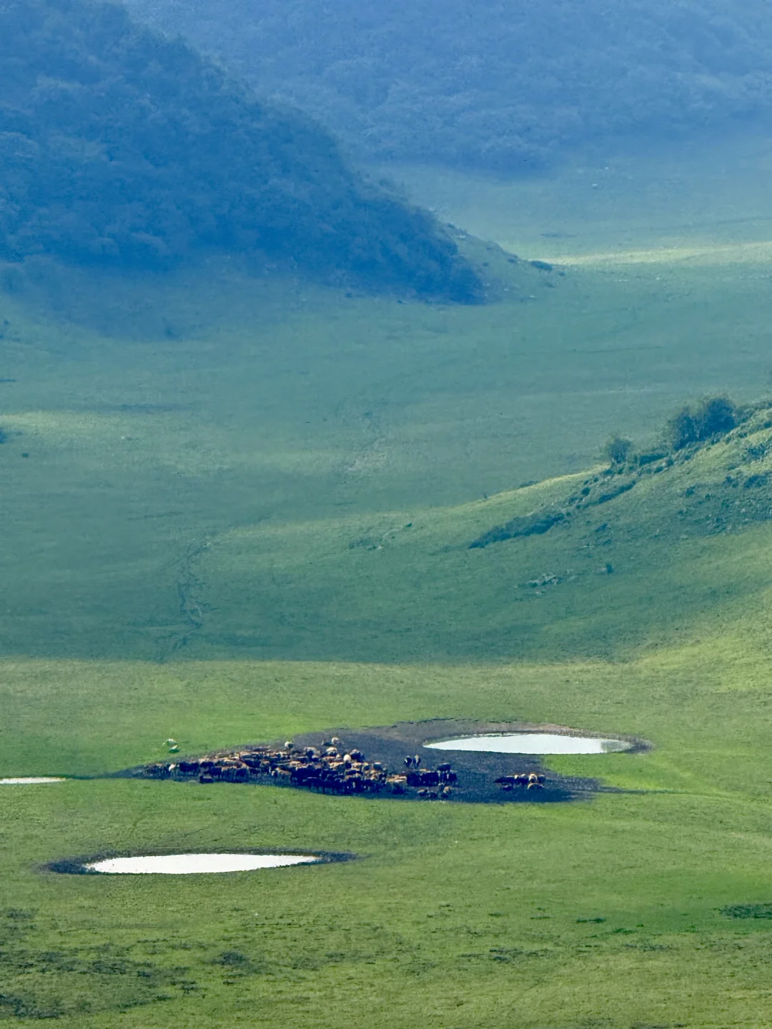 2025-8-5继续在红池坝逛，万幸城到西流溪