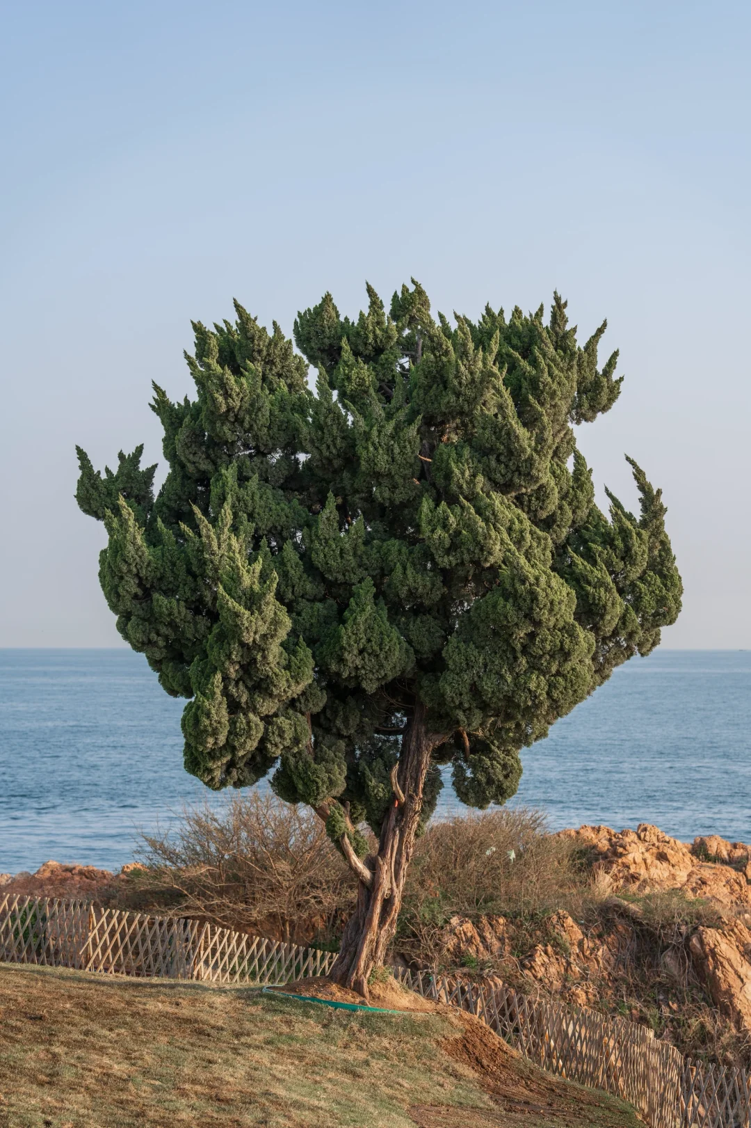 不是布拉格 是青岛