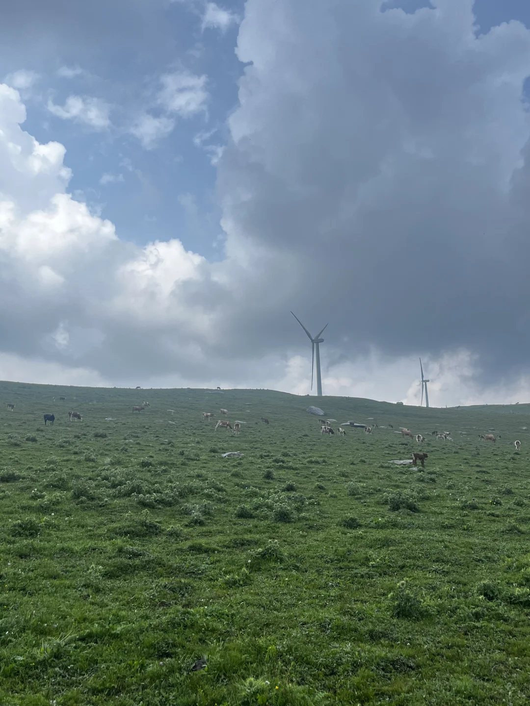 属于河北人自己的小伊犁