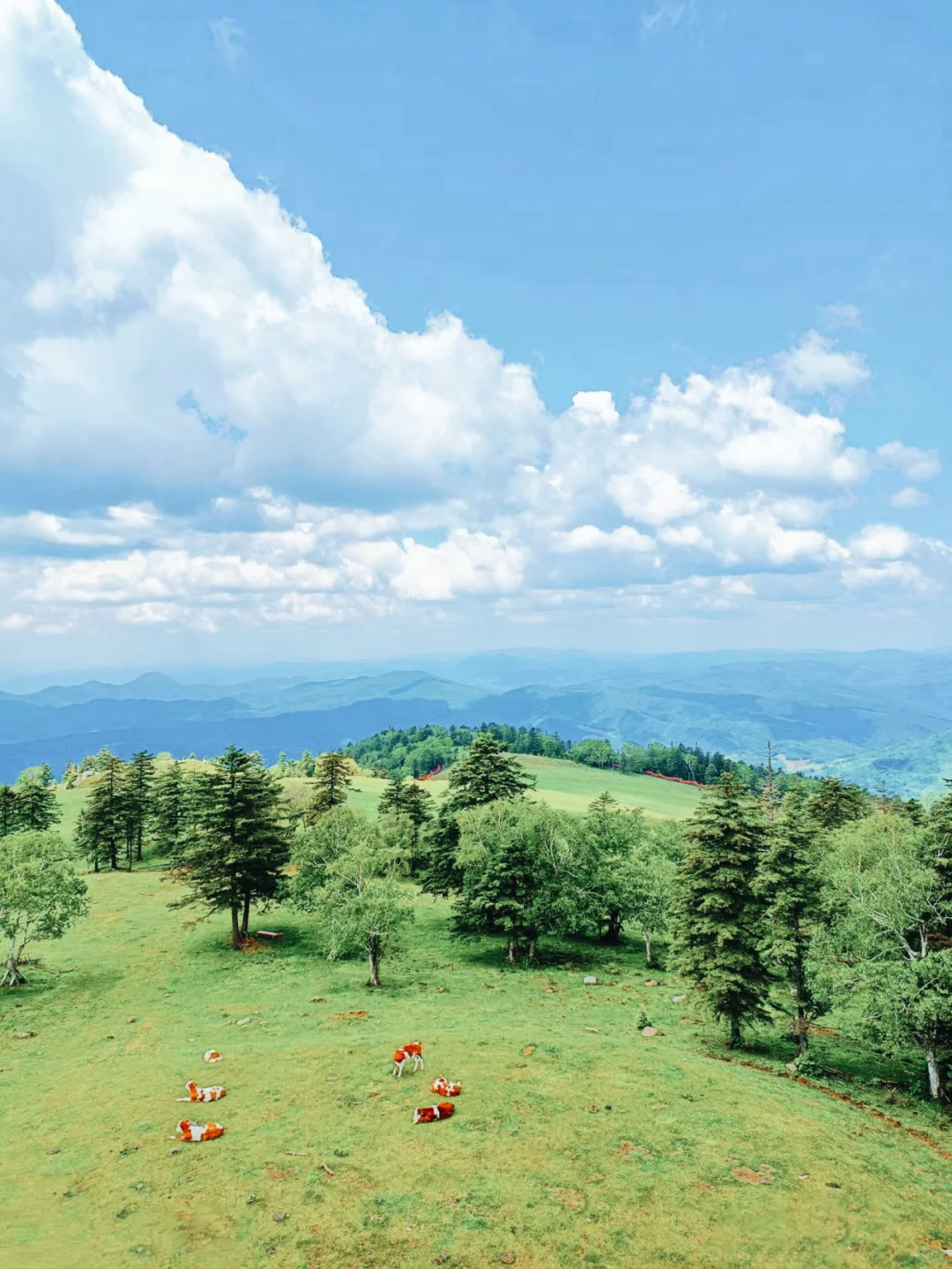 8️⃣个超适合8月出游的避暑胜地❗️