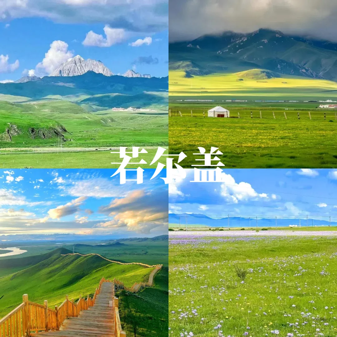 比西藏更近，比青海更野！被低估的甘南！